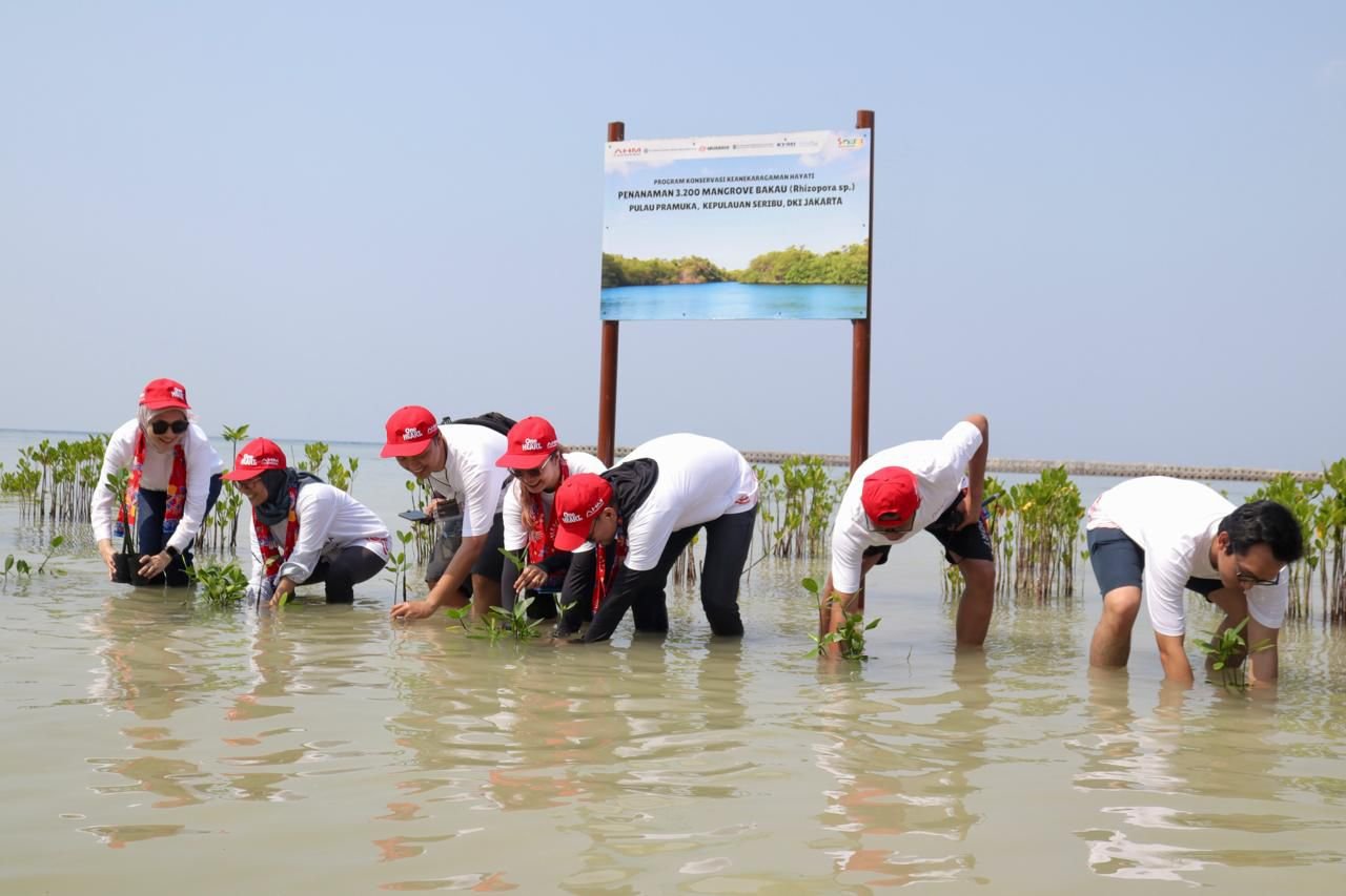 AHM Tanam 3.200 Pohon Mangrove Bentuk Kepedulian Terhadap Iklim