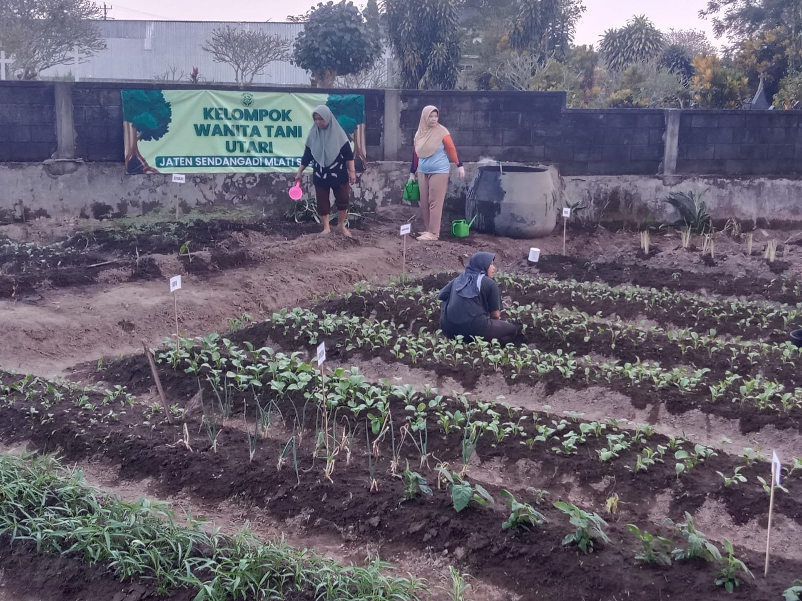 Astra Motor Yogyakarta Dukung Kelompok Wanita Tani Utari Sleman Lewat Program Pemberdayaan